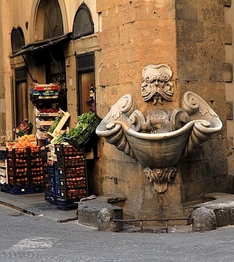 itinerari turistici firenze