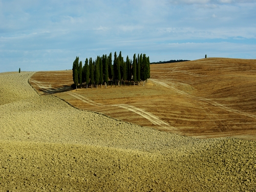 visita musei toscana